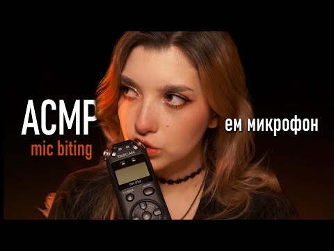 АСМР 💋 ем микрофон // ASMR mic biting Tascam DR-05x