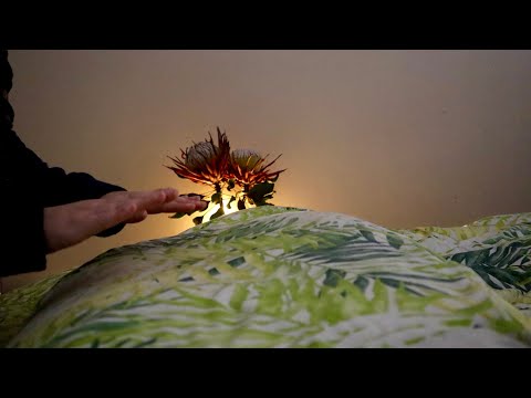 ASMR 🧡 POV 🌿 Full Body Reiki and Massage 💤