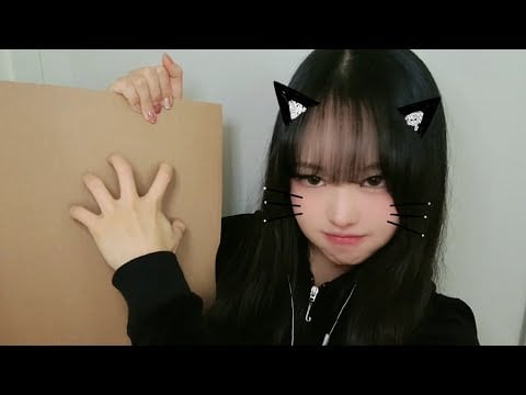 박스 + 고양이 =❓| 팅글 가득 상자 스크래칭 ASMR