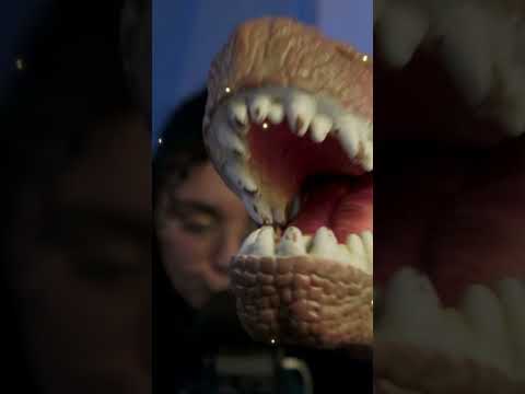 ASMR Dino
