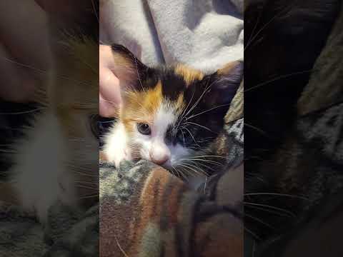 Baby spooks