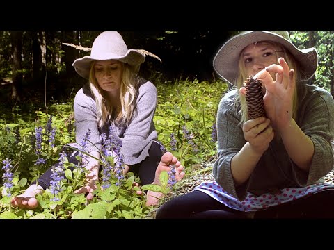 🌼 Cottagecore ASMR 🌼-  Barefoot walk through meadows and woods feat. Squirrel