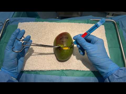 ASMR - Cirugía REAL a una FRUTA🥭💉
