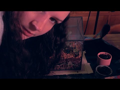 Making a Terrarium - Unintentional ASMR