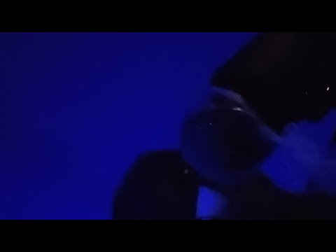 ASMR  live! GLUE| ASMR For tingles