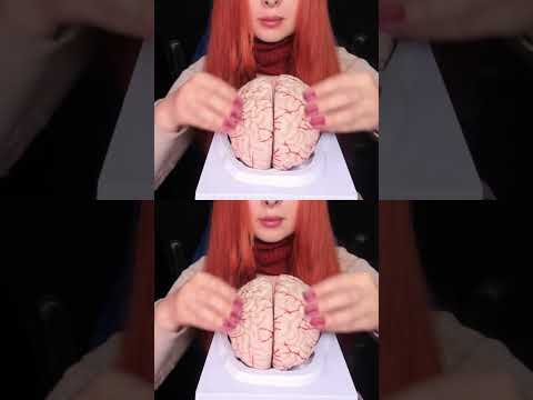 ASMR Most Tingly Brain Massage Ever (No Talking) #shorts
