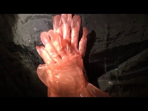 ✨Veterinary  GLOVES & Lace*＜  LAYERING＞* with soap✨  [[ASMR]]