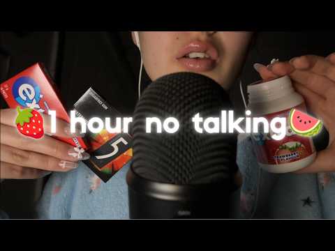 ASMR 1 Hour Gum Chewing No talking | 3 Different Gums