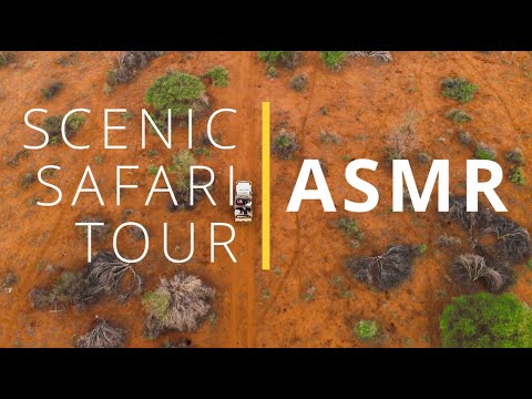 ASMR Gentle Whispers Bedtime Story | Scenic Safari Tour