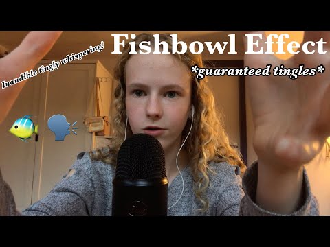 ASMR~trying Fishbowl Effect! 🐠