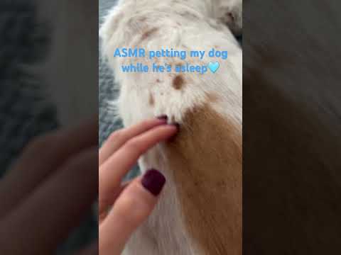 #relax #asmrtriggers #visualtingle #asmrvideos #asmr #asmrsounds #asmrscratching