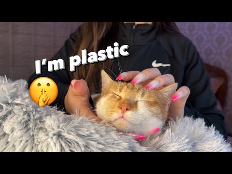 Asmr tapping in plastic Kitty 🐈 #asmr #kitty