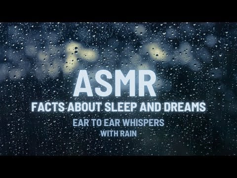 ASMR Sleep & Dream Facts w Rain | Ear to Ear Whispers | Blackscreen