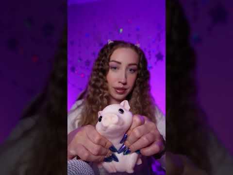 Wilbur needs a massage 🐽  #asmr #tingles #asmrvideo #asmrmassage #sleep #asmrsounds