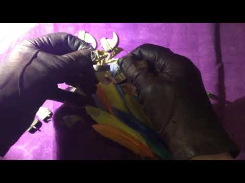 LEATHER GLOVES ✋🤚  Messing  Around with Teeth and Feathers🦜  [[ASMR]]