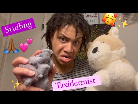 ASMR - Taxidermy (Erin)