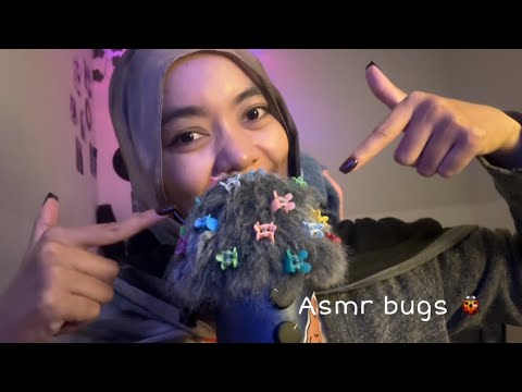 ASMR Bugs for Relaxing 🐞