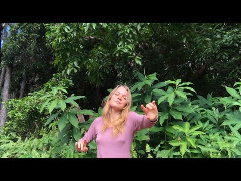 Energetic Nourishment For Your Plants💚Energy Fertiliser🌱Natural Medicine🪨Earth Lovin🐸