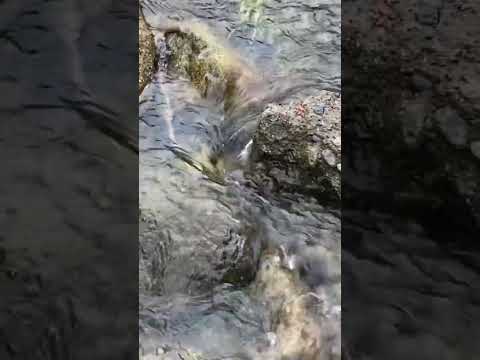 #asmr relaxing