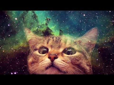 Anecdotes "Savoir Inutile" (Vidéo n°5) - ASMR Français