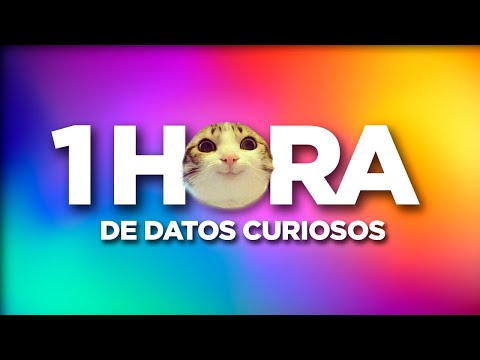 1 HORA de CURIOSIDADES FASCINANTES [Recopilación]