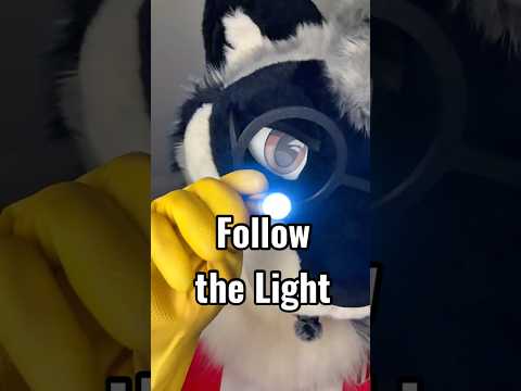follow the light #furryasmr #asmr #furry