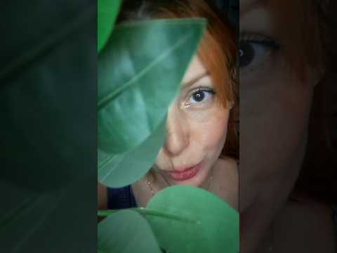 ASMR ✨️ DEDICADO ♡
