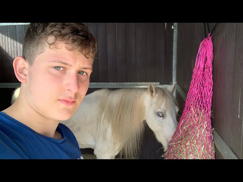 Asmr house tour+Garage & Full Barn Tour!*+ Our new horse 🐎-New 2022/2023 House|