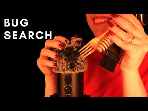 You’ve NEVER Seen Bugs Search Like This 🐞ASMR Soft Spoken with Fork, Brush & Honey Spoon for Tingles
