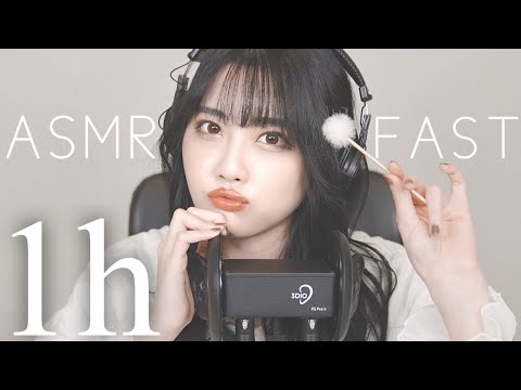 ASMR 超高速！耳かき👂🏻耳タッピング👂🏻【1時間】