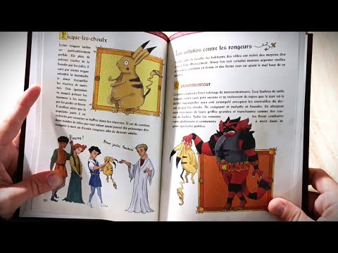 Pokédex Médieval (Le Pochon Dextre) - ASMR Français