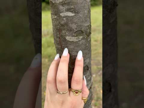 someone asked about an „asmr in nature“ video:) maybe I can film a long version soon🫶🏼🌻🌳