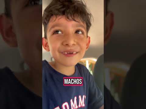 David es macho 🤣