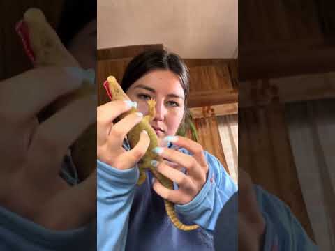 Love this rubbery plastic toy sound #asmr  #shorts