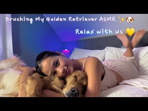 ASMR Grooming My Golden Retriever | Satisfying Brushing & Relaxing Sounds✨🐶