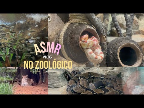 ASMR vlog no zoológico, só sussurros