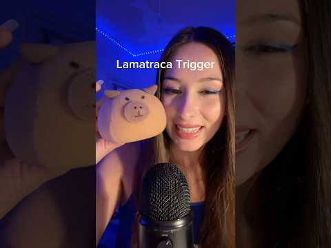 Qui connaissait déjà ? 👀 #asmr #lamatraca #satisfyingsounds #relaxingasmr #sleep
