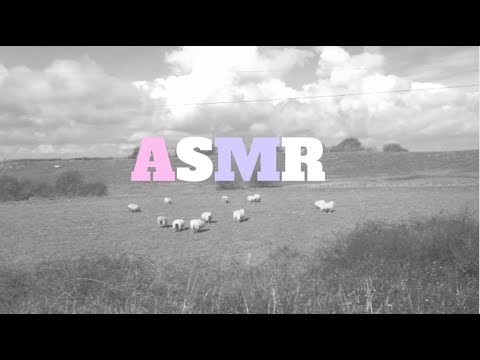 ASMR train journeys reading poems  (whisperd binaural)