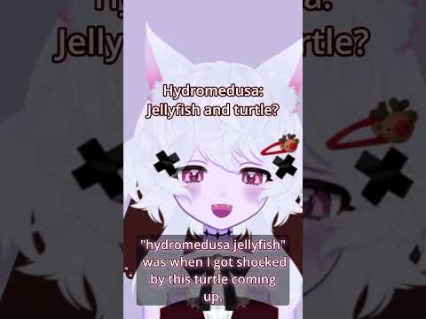 Hydromedusa: I only expected the jelly not the turtle!