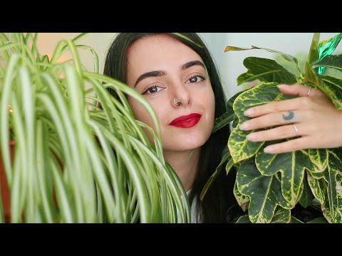 ASMR Chatting w You & Petting My Plants for 40 Mins (Soft Spoken)