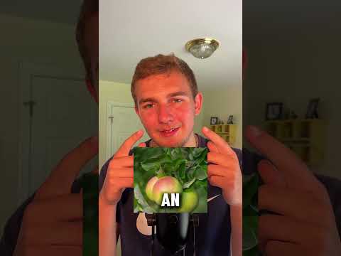 Mind reading