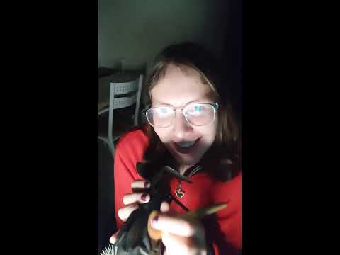 Transmissão ao vivo de Liz ASMR