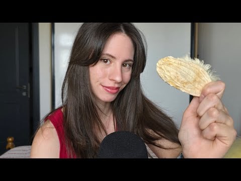 ASMR I Will Give You Tingles With a MANGO SEED🥭