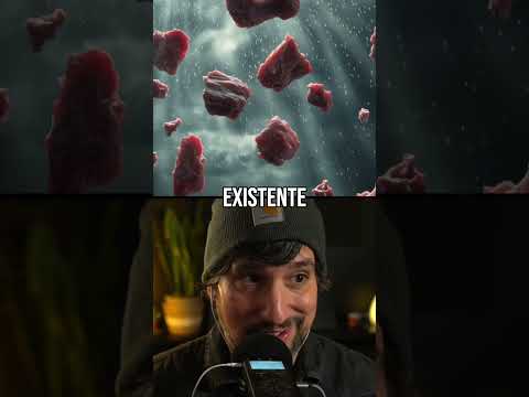 El día que LLOVIÓ CARNE  🌧🥩😱😱😱
