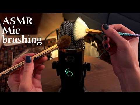 ASMR 🌙 Microphone brushing - Mic brushing sounds (no talking)