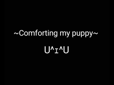 {pt.7} M4M - Pampering My Puppy To Sleep - ASMR