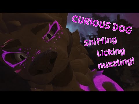 FURRY ASMR Sniffing, Licking and Nuzzling you