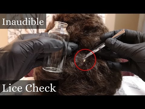 Real Person ASMR Lice Check and Scalp Inspection 6.3 Inaudible Speaking