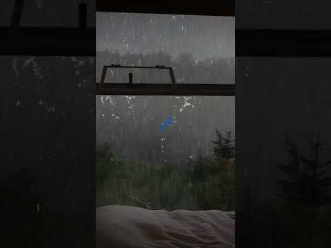 💤 #sleep #sleeping #sleepsounds #rain #rainyday #shorts #shortvideo #viral #shortsviral #explore