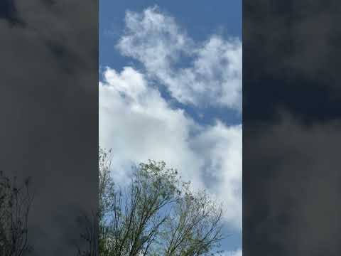 Soothing Sounds of Nature #shorts